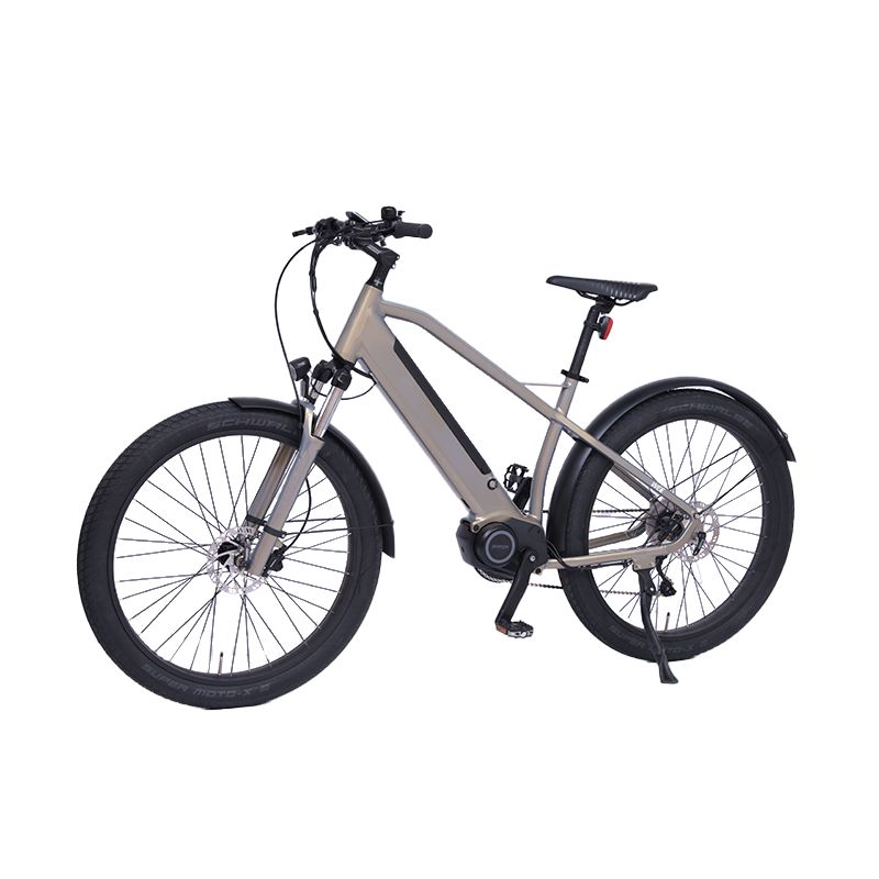 Dolphin CC electric cargo bike