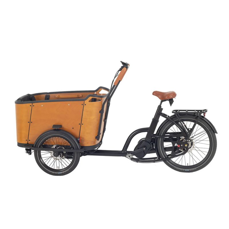 Family C electric cargo bike