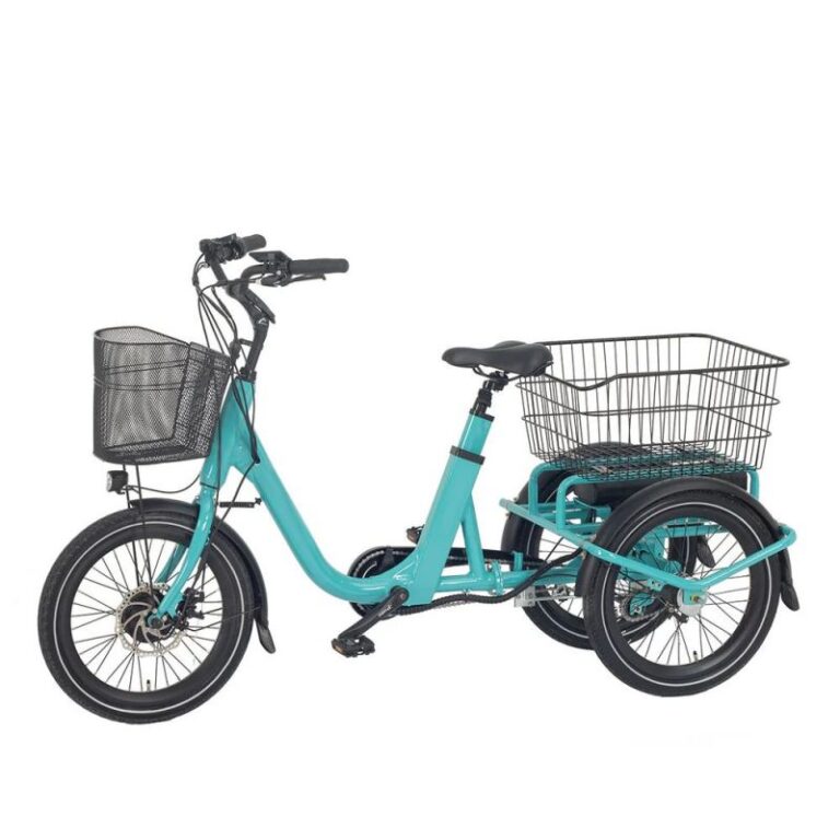 Trike-Heal Mini1