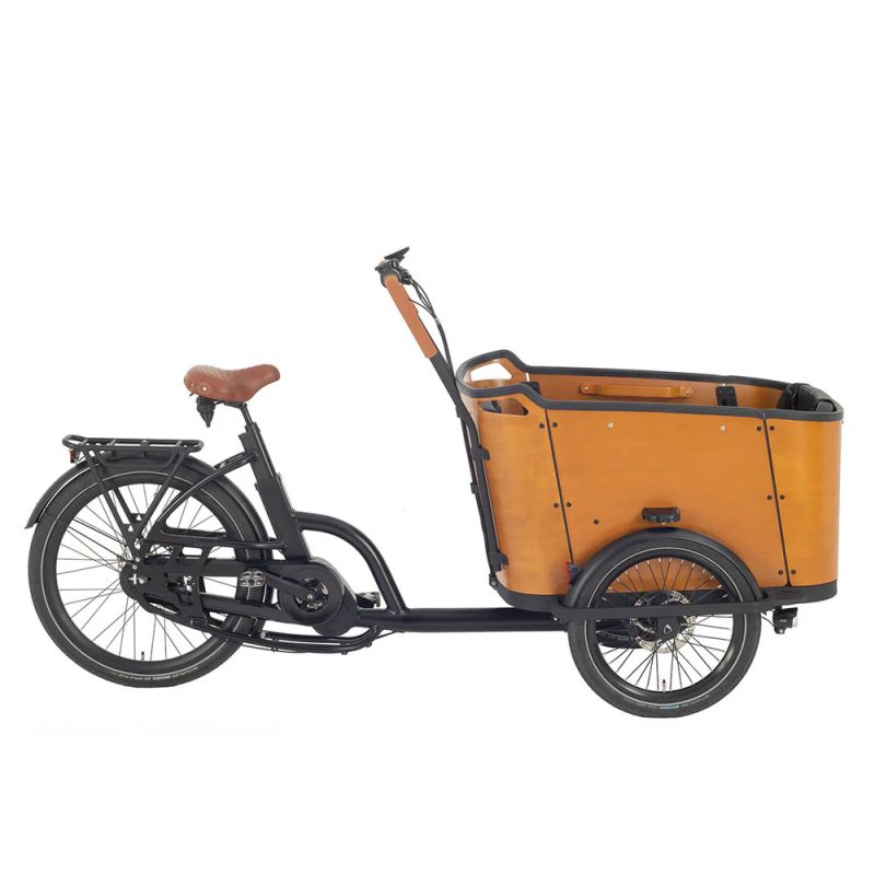 Family C Cargo Bike Product Pic