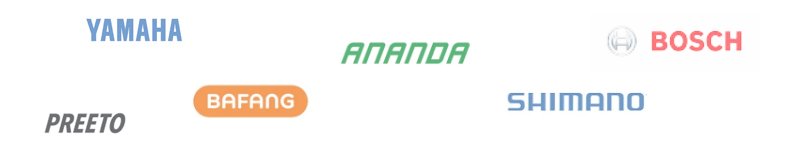 brands of cargo bike motor