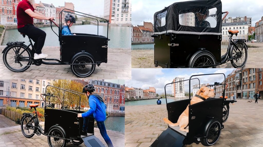 three wheel cargo bike