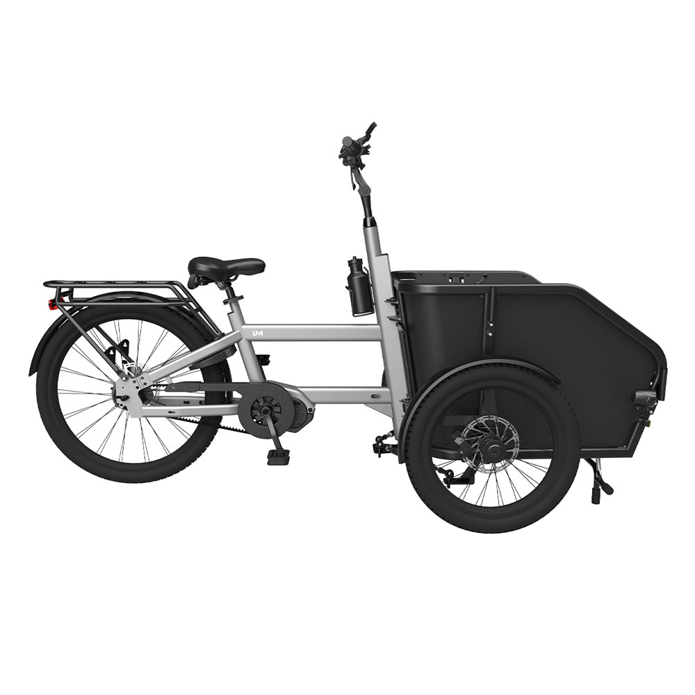 Tadpole electric cargo bike Flow for Family Use