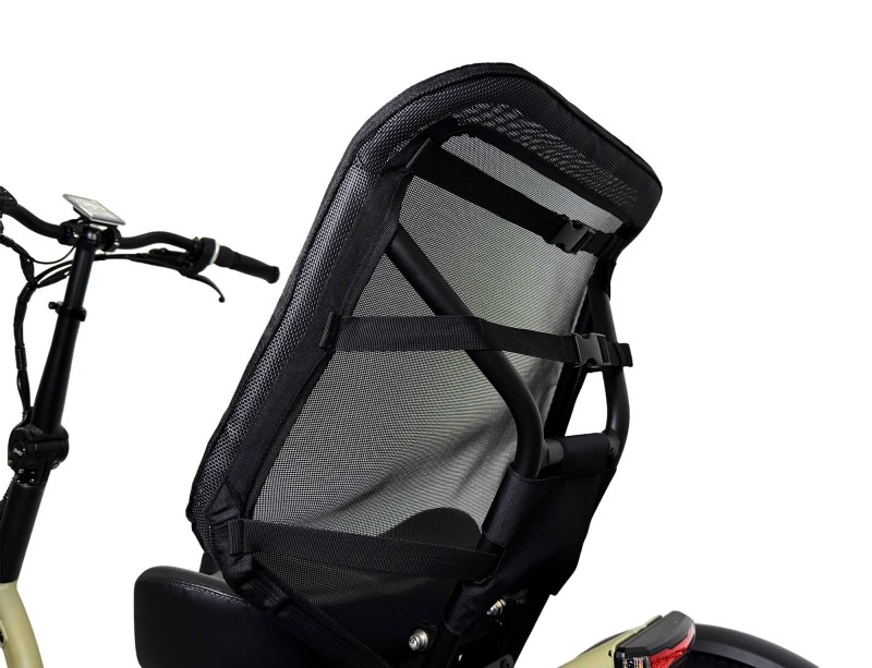 electric trike vita-backrest