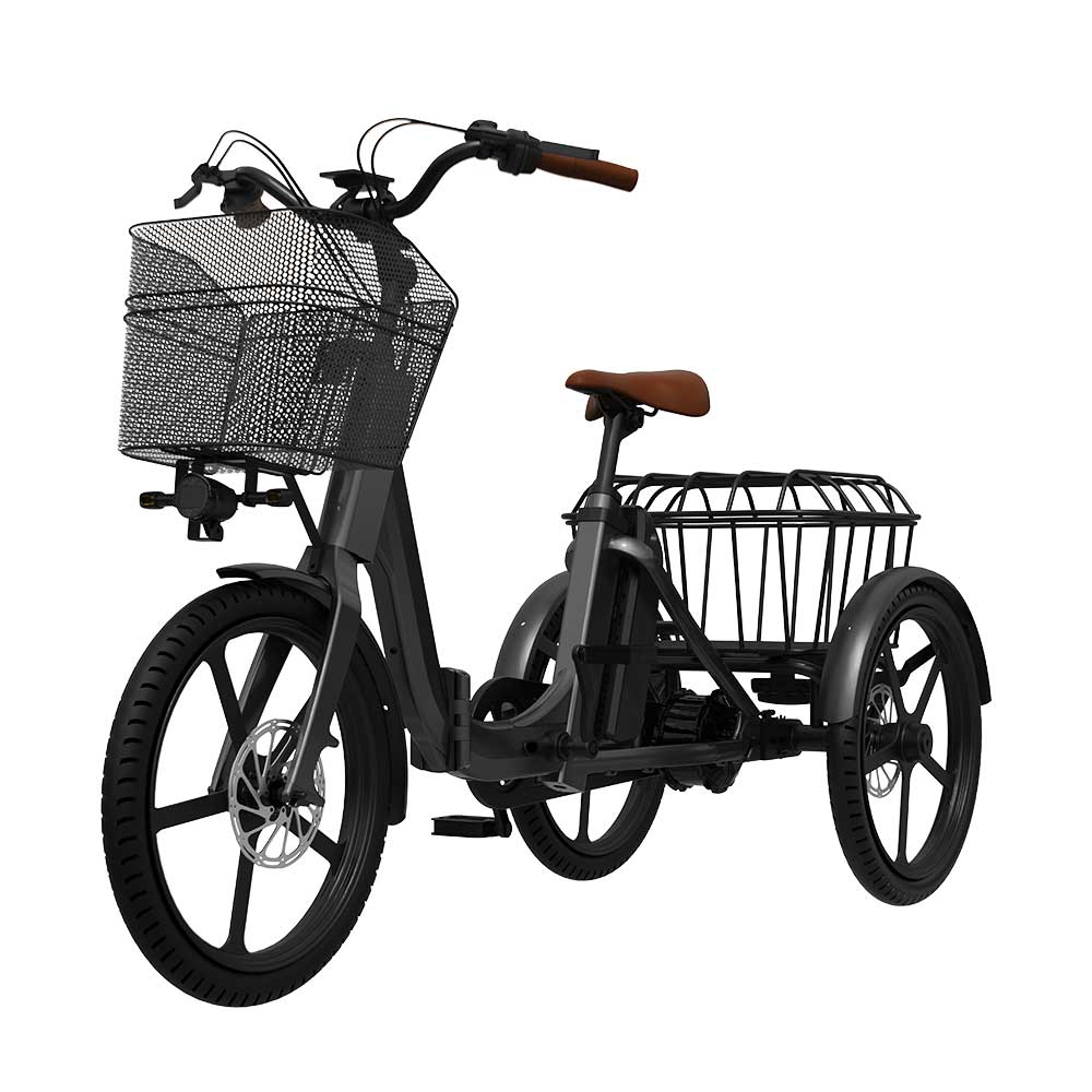 Delta Trike Triogo-1
