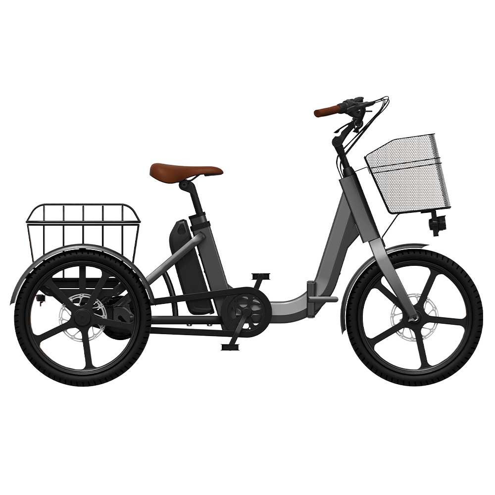 Delta Trike Triogo-3