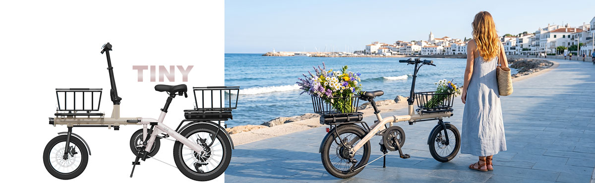 foldable mini cargo bike
