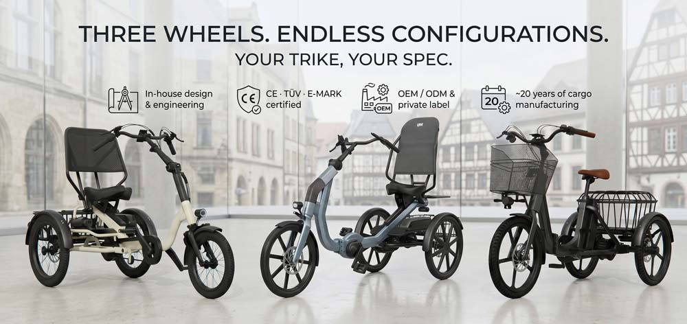 senior electric trike models