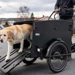 cargo bike for dogs with front cabin