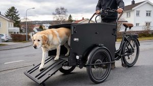 cargo bike for dogs with front cabin