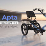 Dual Motor Electric Trike